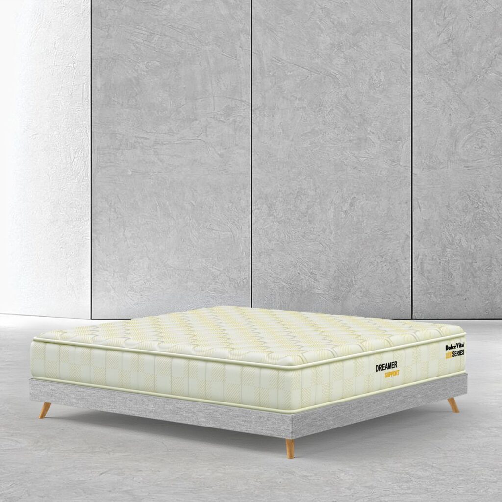 dreamer 1000 support